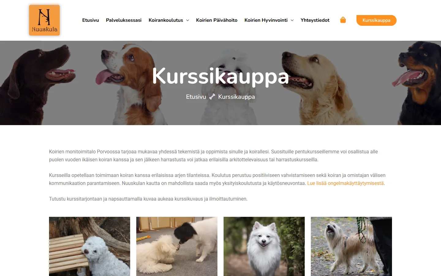 Nuuskula: kurssikauppa
