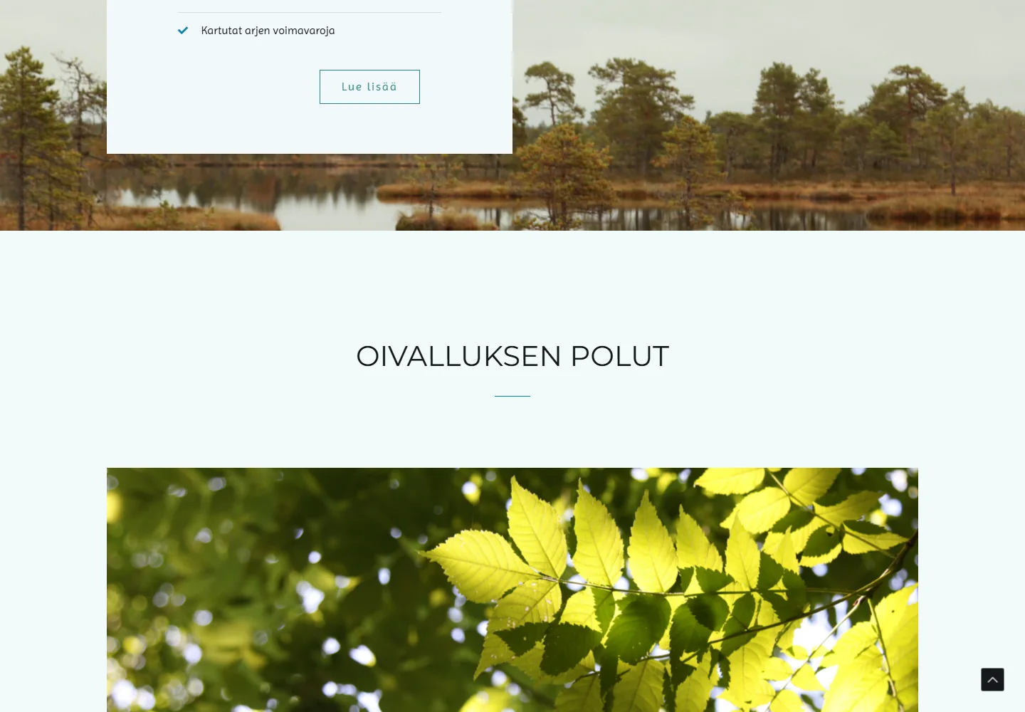 Todellinen Luontoni content view